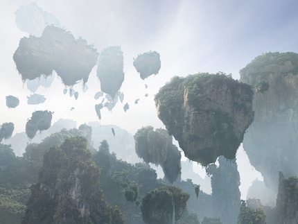 What came first? Kokedamas or the Hallelujah Mountains from Avatar?