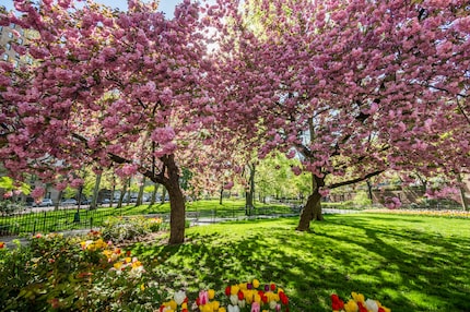 Nobody: Wie viel Kitsch ist okay? Frühling: ja!