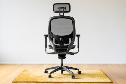 Der Fujin Pro von hinten. Frame und Standfuss sind aus einer Aluminiumlegierung.