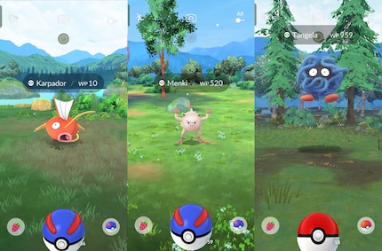 Ik heb deze biomen al ontdekt in het spel. Ze laten water, bergen en dennenbomen zien.