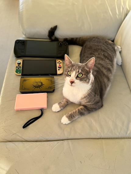Een groottevergelijking tussen Nintendo DS Lite, Nintendo 3DS XL, Switch en Steam Deck laat de verschillen tussen de apparaten zien. Als maatstaf de lengte van een kat.