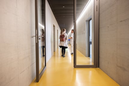 The small animal clinic seems endless. 18 specialised fields from general internal medicine to dentistry are housed here.