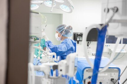 A castration underway in the operating theatre.