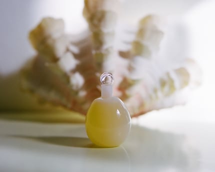 Dangerous Pleasures is a powdery-floral perfume oil.