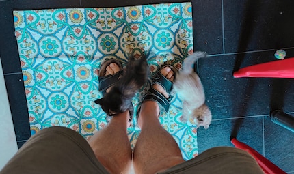 Step into the kitchen, your feet will be attacked. Period.