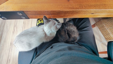 … we need to nap.