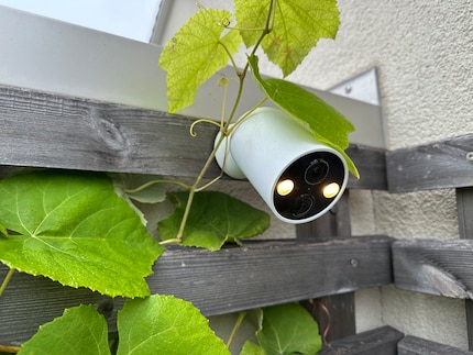 De tweede Tapo camera houdt mijn tuin in de gaten; de camouflage onder de bladeren van de wingerd kan nog verbeterd worden.