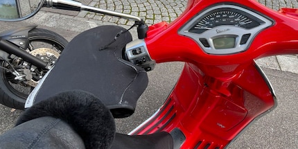 Oops! I accidentally pressed the horn.