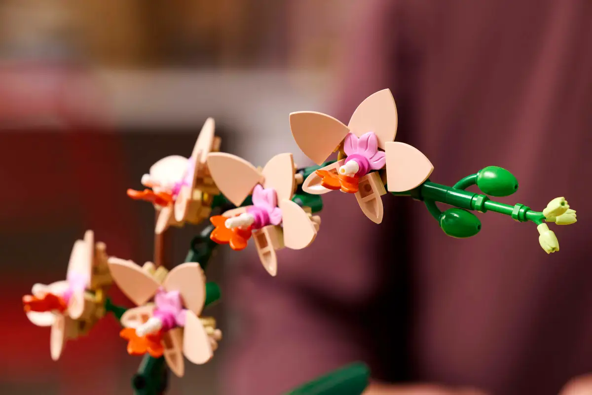 The Lego orchid is in bloom.
