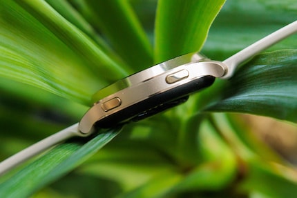 The two buttons on the bezel.