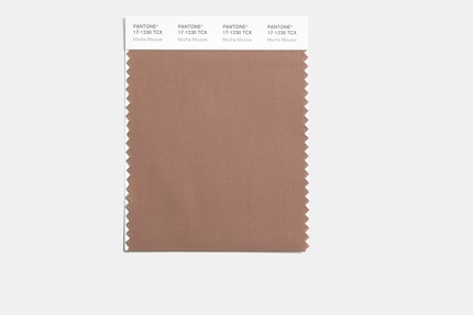 Mocha Mousse: Pantone colour of the year 2025.