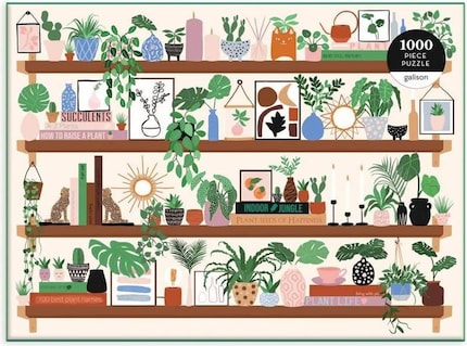 Lots of small pictures within the main picture.