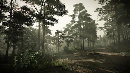 Si vous n’aimez pas les forêts et les plaines verdoyantes, vous aurez sûrement du mal à apprécier « Kingdom Come Deliverance 2 ».