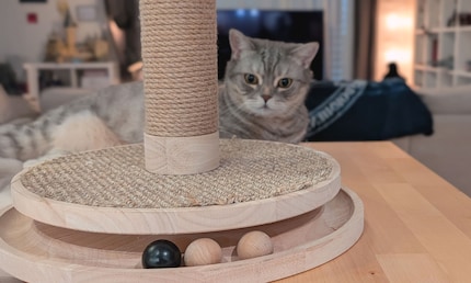 Einen so stylischen Kratzbaum für Katzen habe ich schon lange nicht mehr gesehen. Well done, Design by Lotte.
