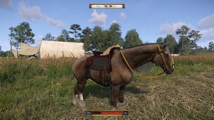 Das Pferd ist auch ein Packesel. Bei Wettrennen ist ein schwerer Sattel allerdings von Nachteil.