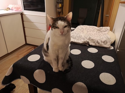 Melody knijpt met haar ogen: Een teken van vriendschappelijk contact.