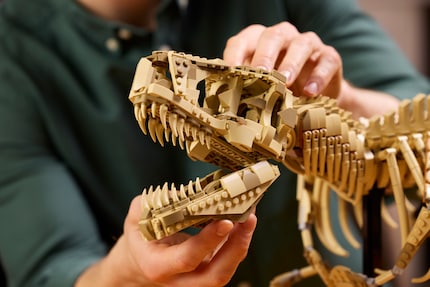 The jaw of the T-Rex can be opened.