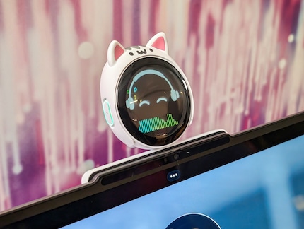 Eine Spielerei: Dieser Mini-Screen verleiht der KI mit Emojis ein Gesicht und erkennt Gesten.