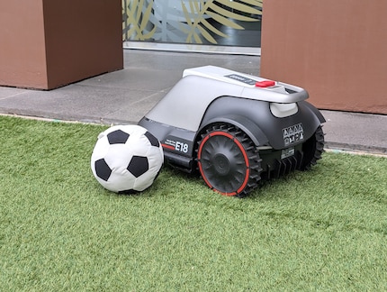 The robot automatically avoids obstacles thanks to cameras and sensors.
