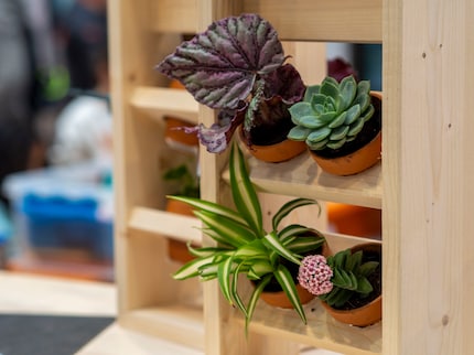 And practical wooden flower racks. 