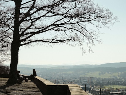 Wenn du keine Lust auf Nachbearbeitung hast, bekommst du mit den eingebauten Film-Simulationen verschiedene Looks für JPGs direkt aus der Kamera.