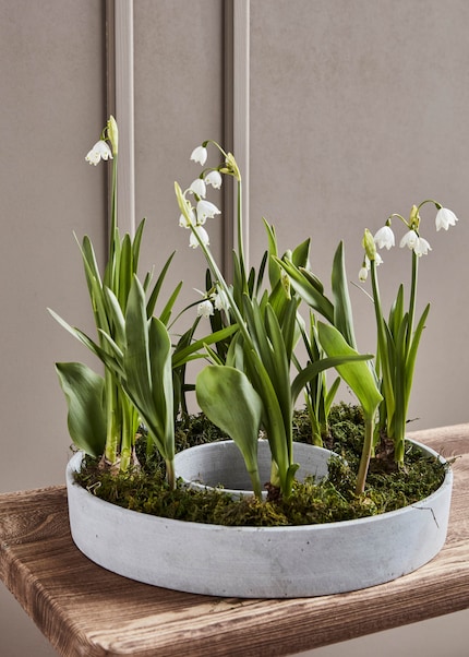 A bowl that once housed an Advent wreath has now been repurposed as an Easter wreath.