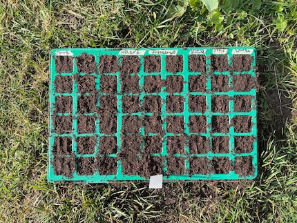 Een mijlpaal: de eerste zaadjes zijn gezaaid.