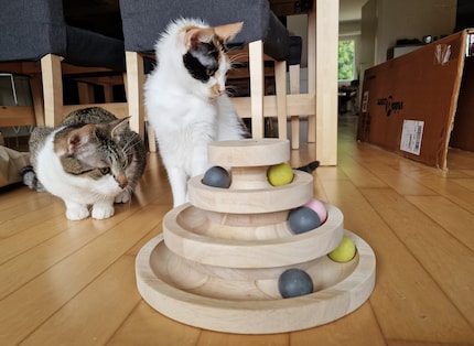 Sogar die träge Trauermücke nebenan ist interessanter als der Ballturm.