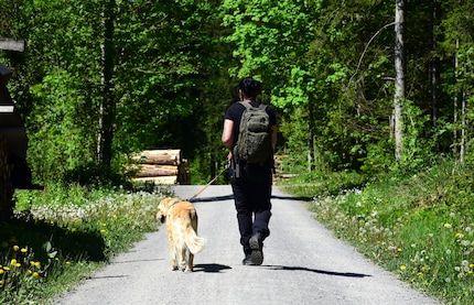 It’s scorching hot in the sun. Livia and Kaya walk straight towards the forest.