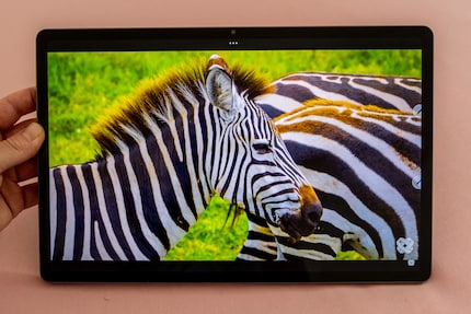 Video's zien er prachtig uit op het LCD-scherm en het geluid is behoorlijk indrukwekkend.