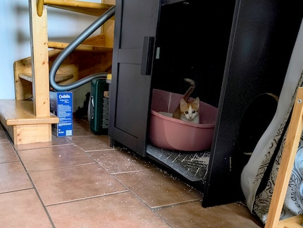 Bonnie caught red-handed.