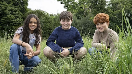 Het nieuwe gouden trio voor de «Harry Potter» serie is aangekondigd.
