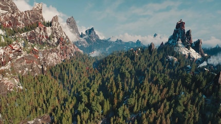 Dit lijkt nu eens een echt bos.