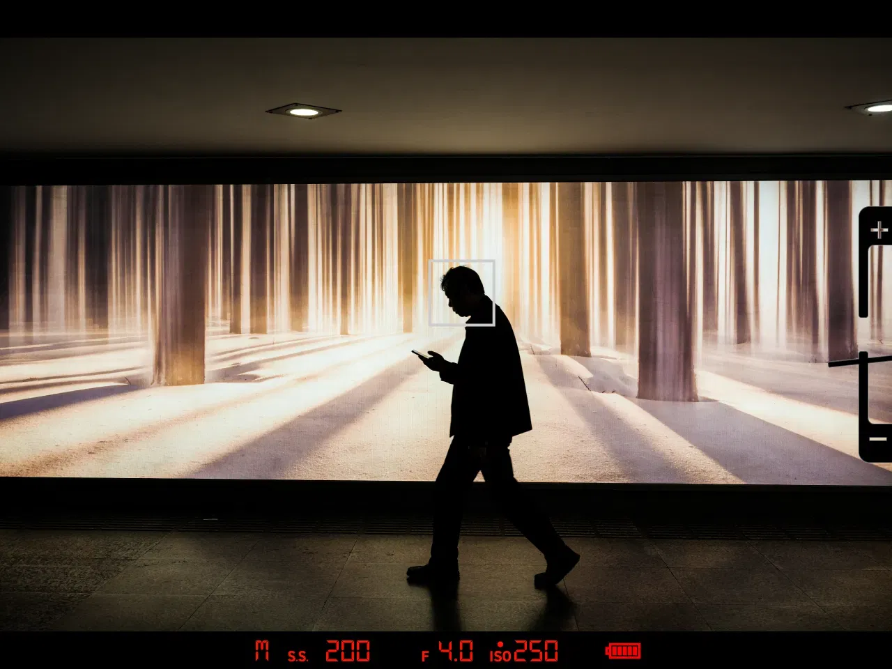 In this viewfinder display, the image is spared from overlapping. Important information can be seen below.