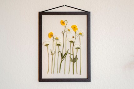 Ich habe den Sommer eingefangen und an der Wand verewigt.
