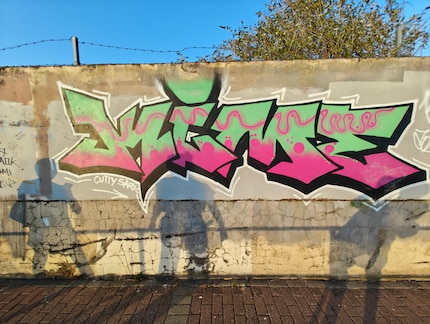 Het pad langs de Theems zou te smal zijn geweest om alle graffiti met de hoofdcamera vast te leggen.