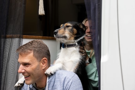 De drie «reizende vossen» Patricia, Simon en Ari zijn weer onderweg.
