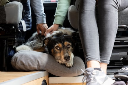 Ari in zijn huis op wielen: de camper.