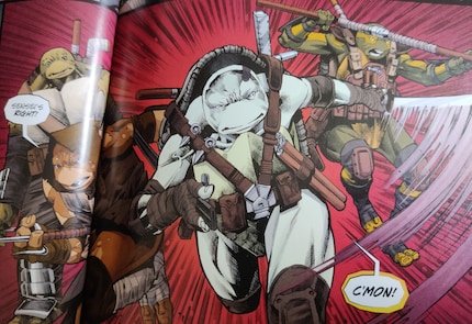 Die neuen Turtles übernehmen in «Re-Evolution».