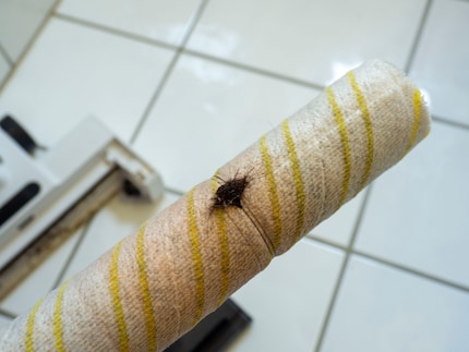 Het haar zit om de roller gewikkeld, maar hij blijft toch rollen.