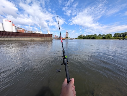 In het midden van alles in plaats van alleen een toeristische rondleiding: vissen in de Elbe, direct in de haven.