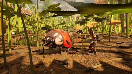 Een lieveheersbeestje: oude bekende van «Grounded 1».