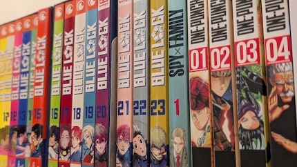 Mangas and animes are taking the Western world by storm.
