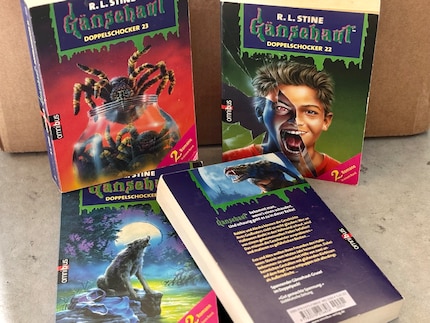 De «Goosebumps» boeken vertellen griezelverhalen voor kinderen en waren ook mijn kennismaking met dit geliefde genre.