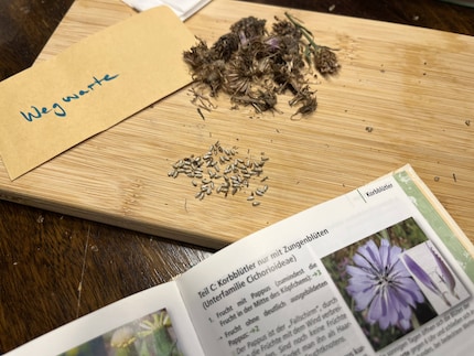 Als een verrassingscadeau dat je nog kunt uitpakken. Zo gevarieerd als de verschillende bloemen zijn, zo gevarieerd zijn ook hun zaden.