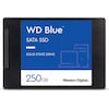WD Blue (250 GB, 2.5")