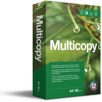 Multicopy FSC (80 g/m², 500 x, A4)