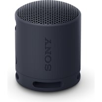 Sony SRS-XB100 (16 h, Rechargeable battery operated)