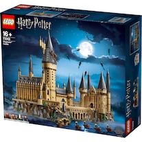 LEGO Le château de Poudlard (71043, LEGO Harry Potter, LEGO difficiles à trouver)