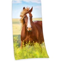 Herding Horse (75 x 150 cm)